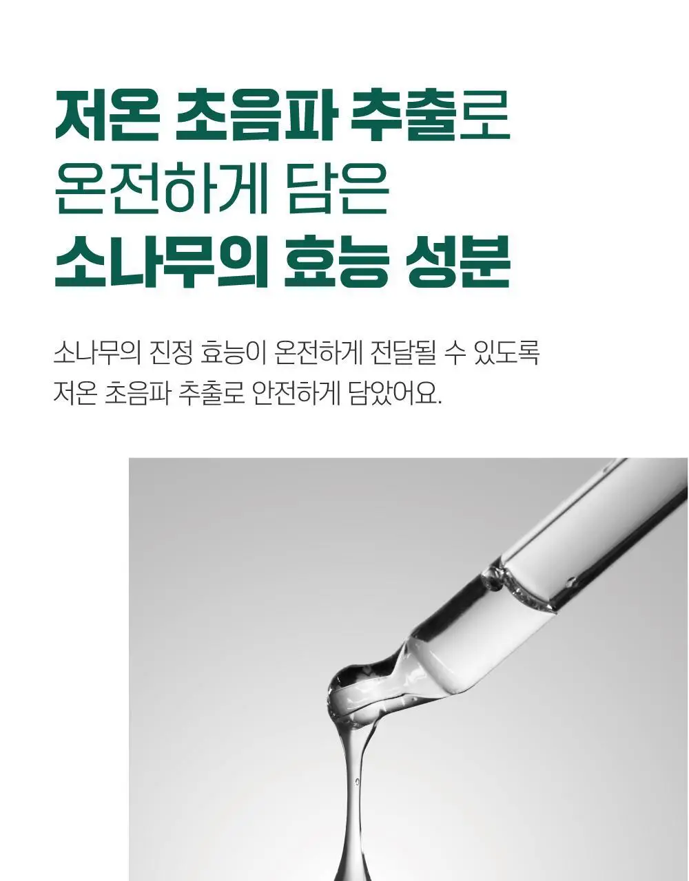 [매끈바디] 라운드랩 소나무 진정 시카 바디 워시 400ml 상세페이지 9